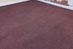Commercial And Maintenance Carpet Cleaning