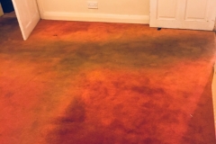Hot Water Extraction Carpet Cleaning